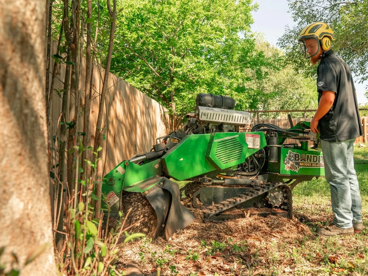 Stump Grinder for rent